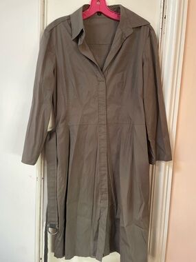 Boss Taupe/gray  Belted dress size 10
